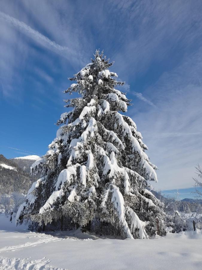 Gasthof Zur Schmiede Berg im Drautal Exteriér fotografie